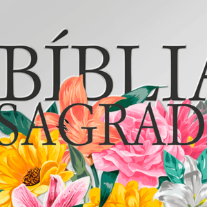 Bíblia Anote – NVI – Primavera