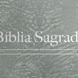 Bíblia Evangelize – ARC – Cinza