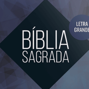 Bíblia Evangelize – NVI – Celeste