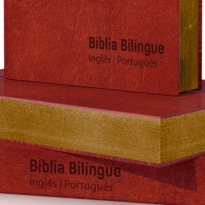 Bíblia NVT Bilíngue – Avelã