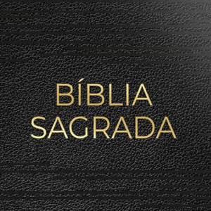Bíblia NVT Letra Gigante – Luxo – Preta