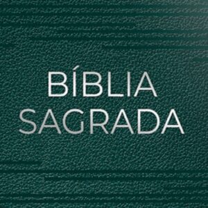 Bíblia NVT Letra Gigante – Luxo – Verde