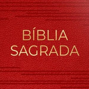 Bíblia NVT Letra Gigante – Luxo – Vermelha