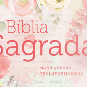 Bíblia NVT – Letra normal – Clássica Virtuosa