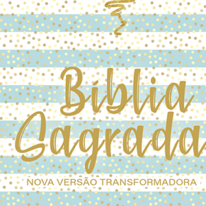 Bíblia NVT – Letra normal – Coração brilhante