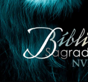 Bíblia Sagrada NVI – Leão azul (Capa Dura)