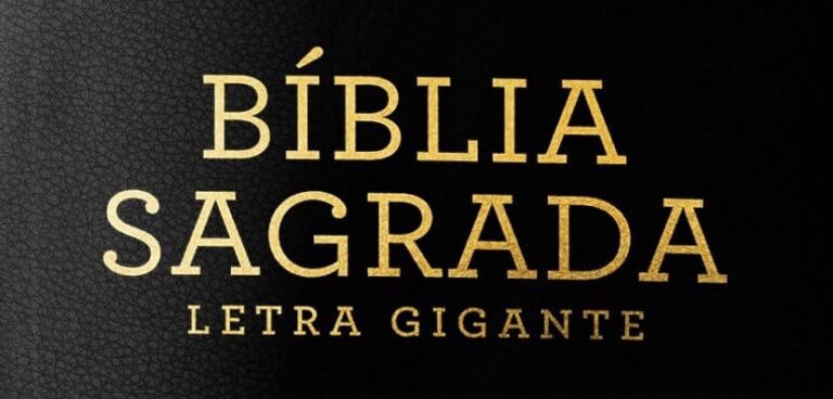 Biblia-sagrada-nvi-leitura-perfeita-letra-gigante - Livros Evangélicos