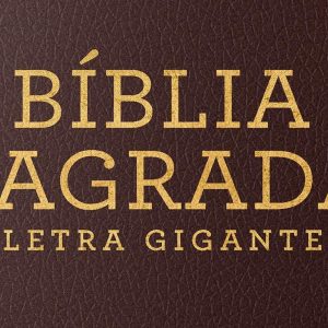 Bíblia Sagrada NVI – Leitura Perfeita – Letra Gigante