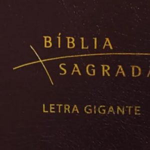 Bíblia Almeida Século 21 Letra Gigante Luxo