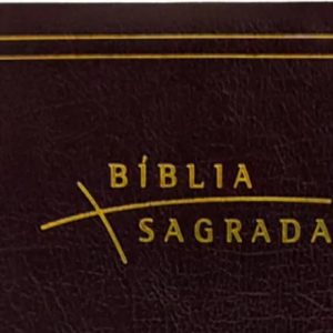Bíblia Almeida Século 21 Luxo