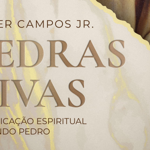 Pedras vivas (Heber Campos Jr.)