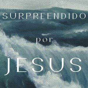 Surpreendido por Jesus (Dane C. Ortlund)
